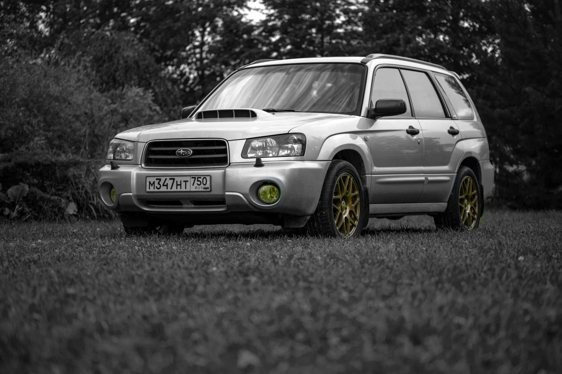 Subaru Forester Winter